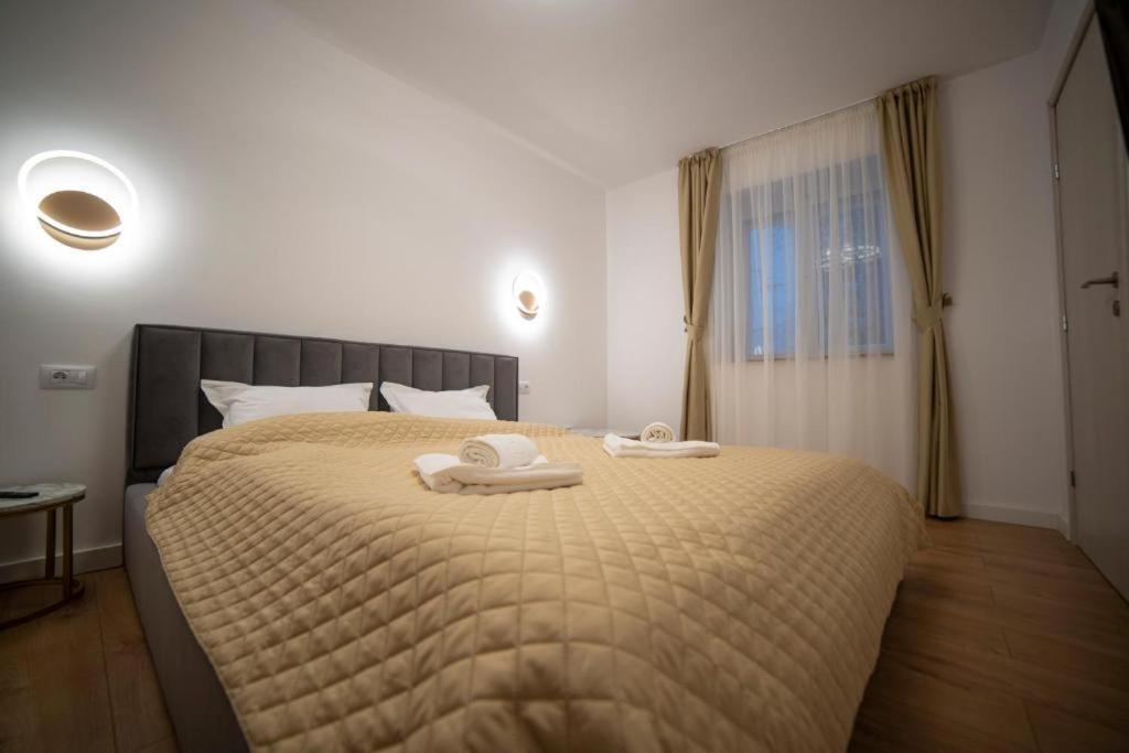 Coban Residence Apartments 布拉索夫 外观 照片