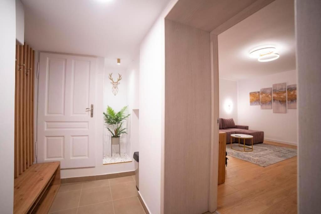 Coban Residence Apartments 布拉索夫 外观 照片