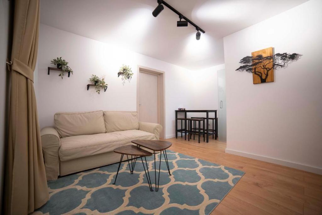 Coban Residence Apartments 布拉索夫 外观 照片