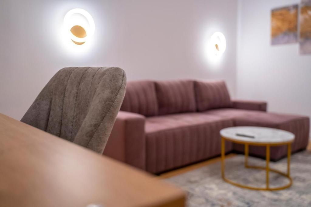 Coban Residence Apartments 布拉索夫 外观 照片