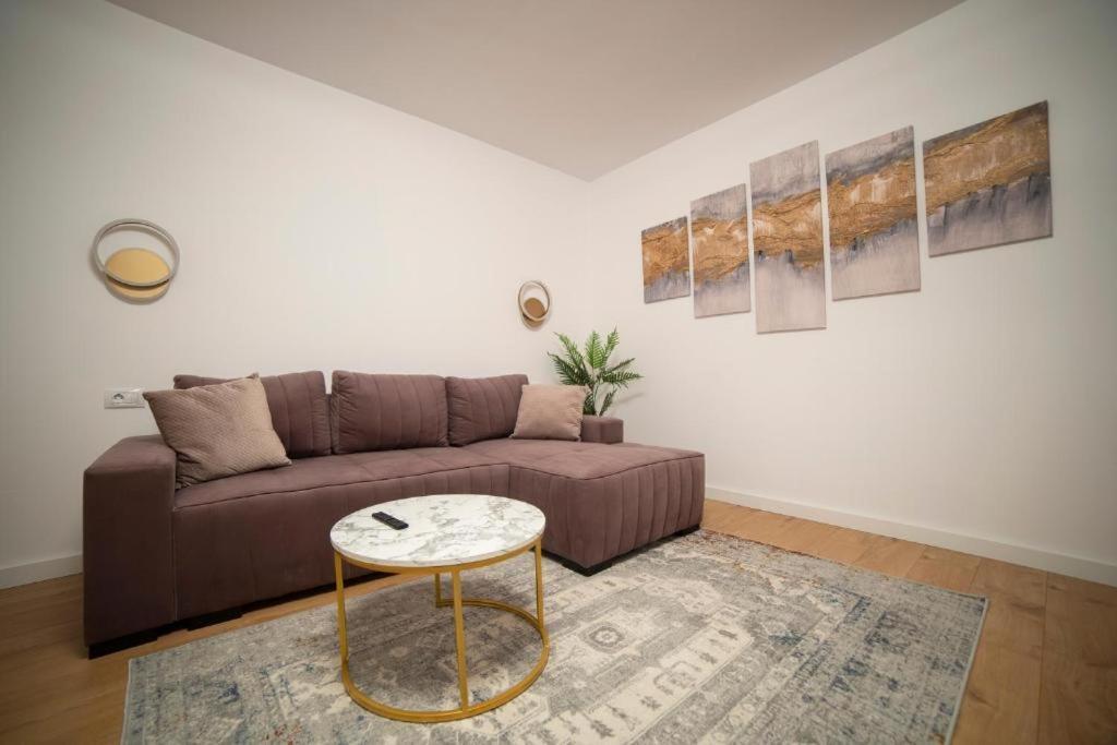 Coban Residence Apartments 布拉索夫 外观 照片