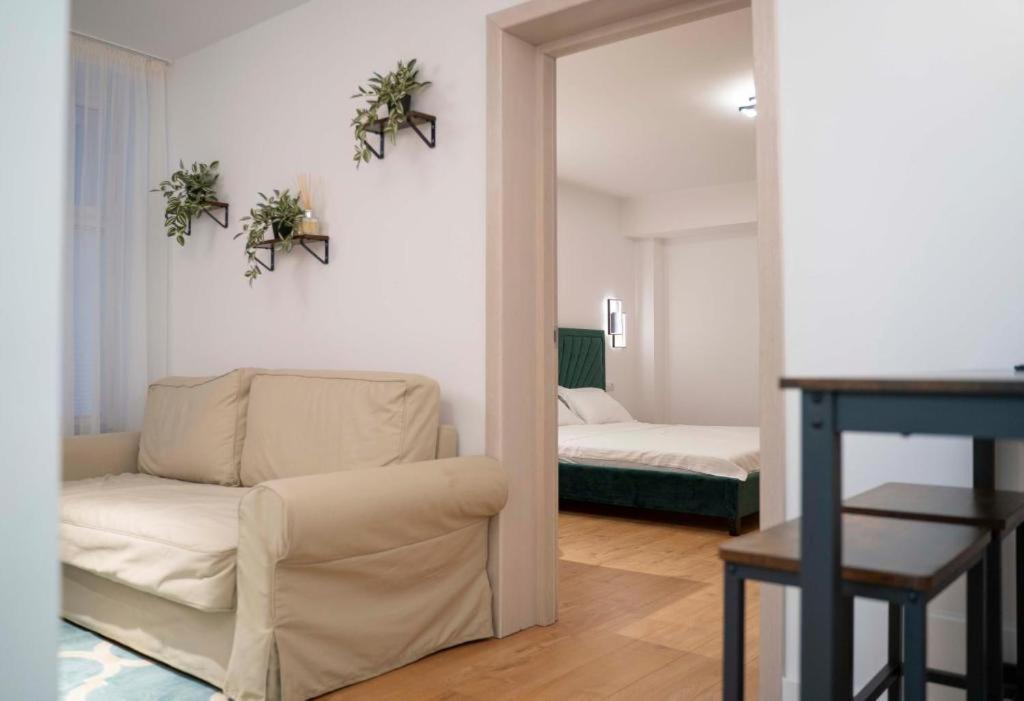 Coban Residence Apartments 布拉索夫 外观 照片