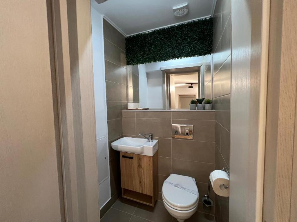 Coban Residence Apartments 布拉索夫 外观 照片